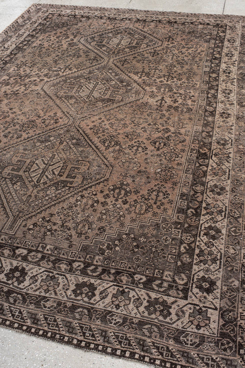 Vintage Shiraz Area Rug (7' x 10')